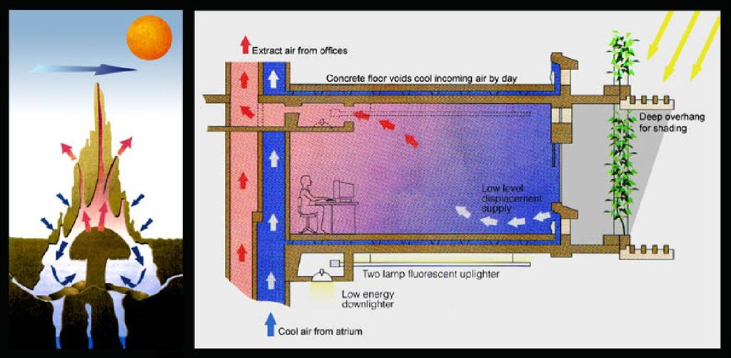 Mon système de climatisation biomimétique s'inspire des termites Shamengo
