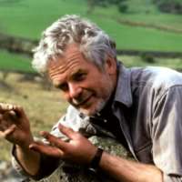 Andy Goldsworthy